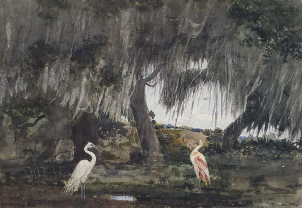 Winslow Homer At Tampa (mk44)